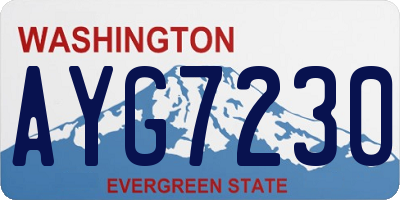WA license plate AYG7230