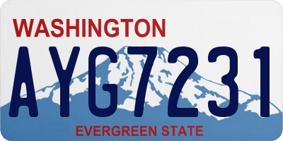 WA license plate AYG7231
