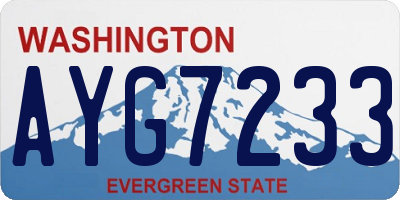 WA license plate AYG7233