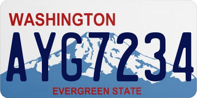 WA license plate AYG7234