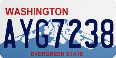WA license plate AYG7238
