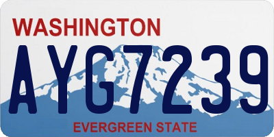 WA license plate AYG7239