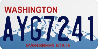 WA license plate AYG7241