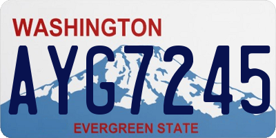 WA license plate AYG7245