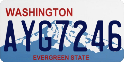 WA license plate AYG7246