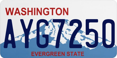 WA license plate AYG7250