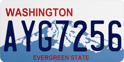 WA license plate AYG7256