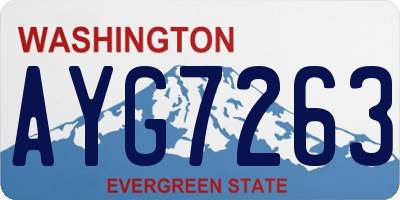 WA license plate AYG7263