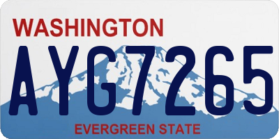 WA license plate AYG7265