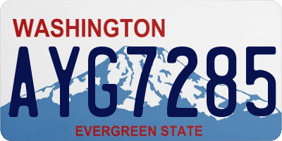 WA license plate AYG7285