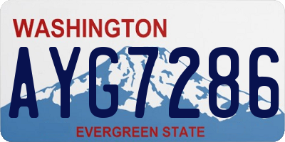 WA license plate AYG7286