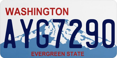 WA license plate AYG7290
