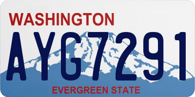 WA license plate AYG7291