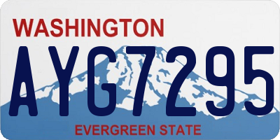 WA license plate AYG7295
