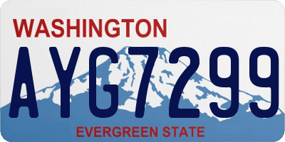 WA license plate AYG7299