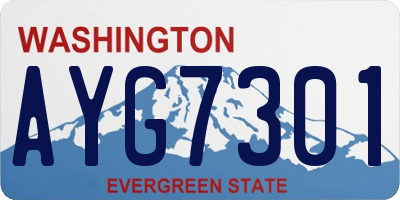 WA license plate AYG7301
