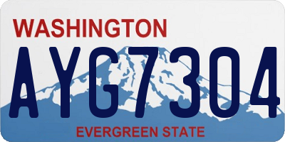 WA license plate AYG7304