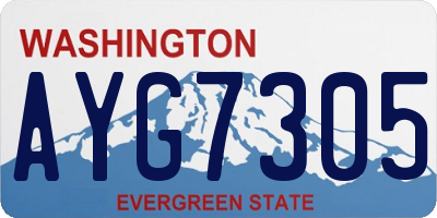 WA license plate AYG7305