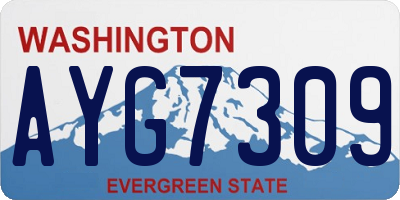 WA license plate AYG7309