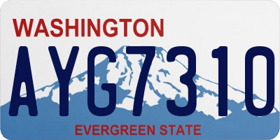 WA license plate AYG7310