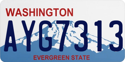 WA license plate AYG7313