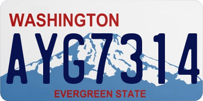WA license plate AYG7314
