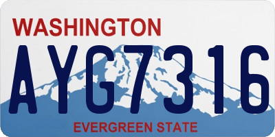 WA license plate AYG7316