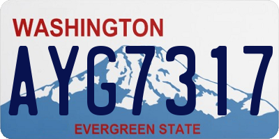 WA license plate AYG7317