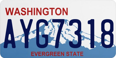 WA license plate AYG7318