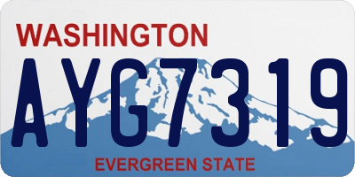 WA license plate AYG7319