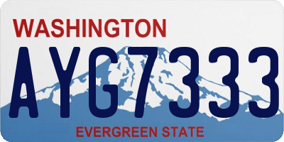 WA license plate AYG7333