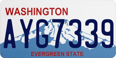 WA license plate AYG7339
