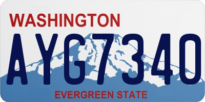 WA license plate AYG7340