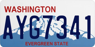 WA license plate AYG7341