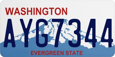 WA license plate AYG7344