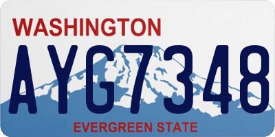 WA license plate AYG7348