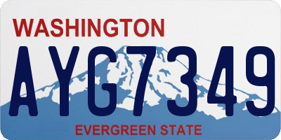 WA license plate AYG7349