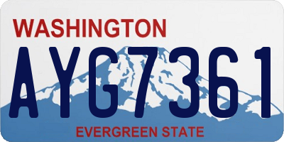 WA license plate AYG7361