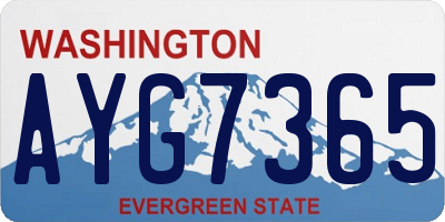 WA license plate AYG7365