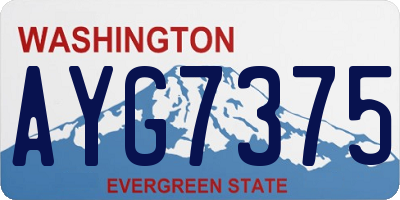 WA license plate AYG7375