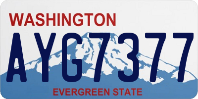 WA license plate AYG7377