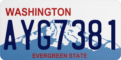 WA license plate AYG7381