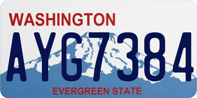 WA license plate AYG7384