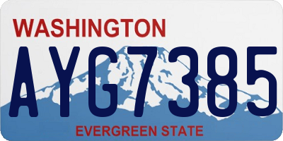 WA license plate AYG7385
