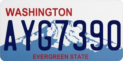 WA license plate AYG7390