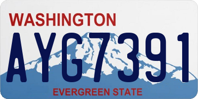 WA license plate AYG7391