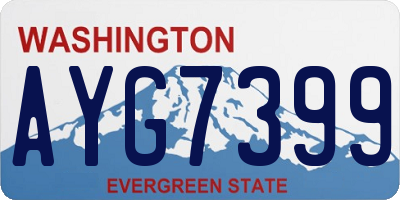 WA license plate AYG7399