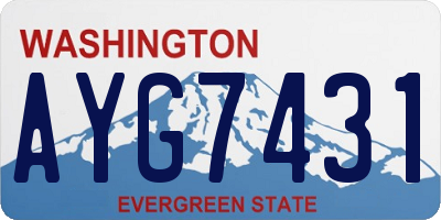 WA license plate AYG7431