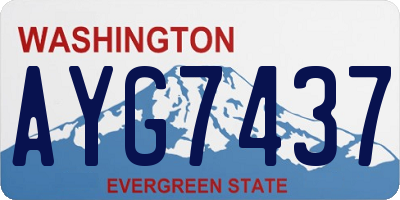 WA license plate AYG7437