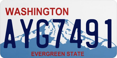 WA license plate AYG7491